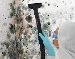 Best Emergency Mold Remediation in Dock Junction, GA